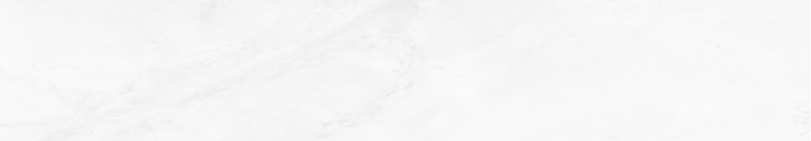 Services Banner.png