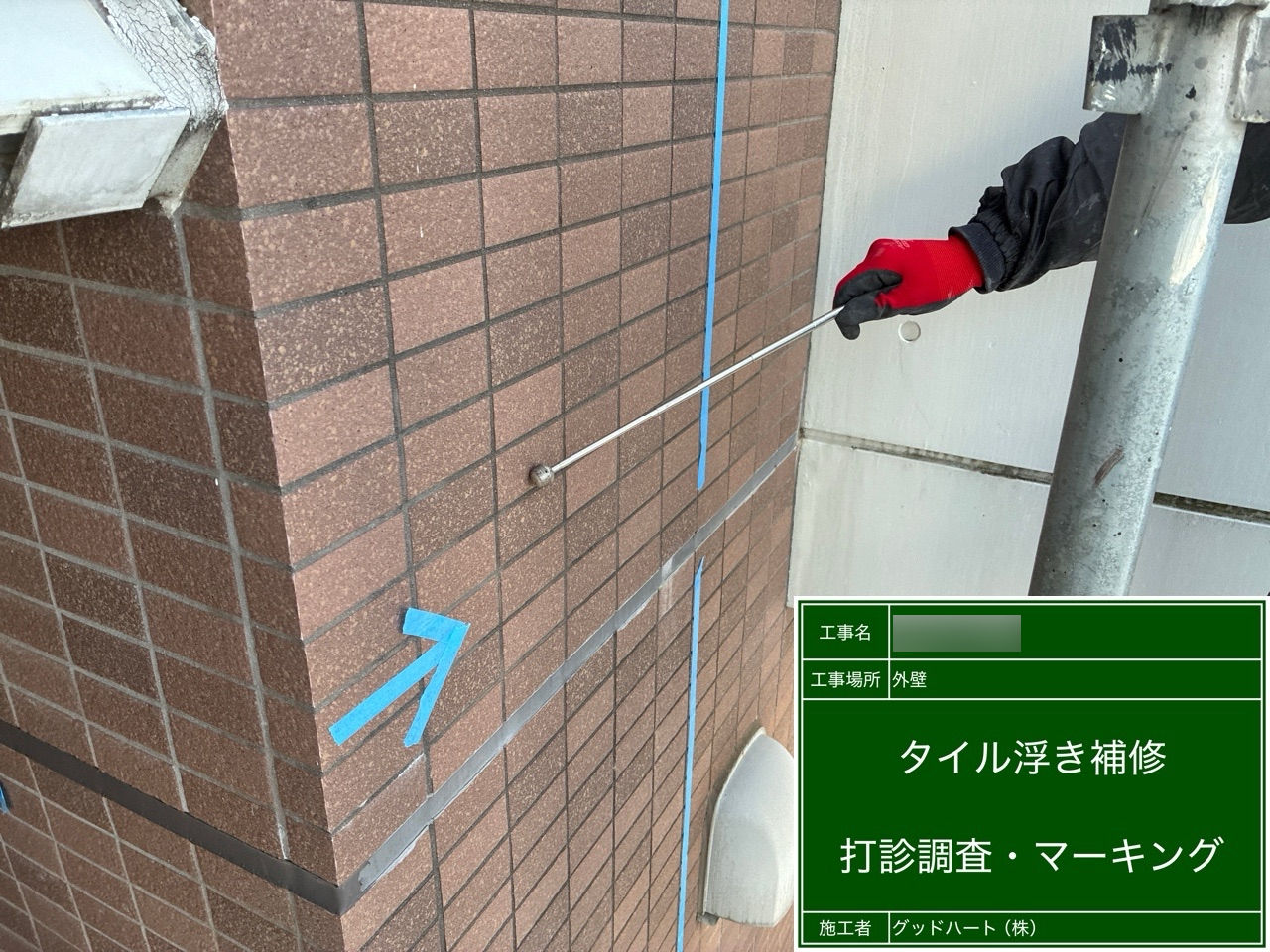 打診調査