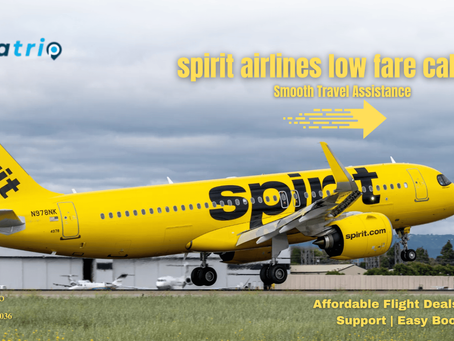 Spirit Airlines Low Fare Calendar: The Ultimate Tool to Find the Best Deals