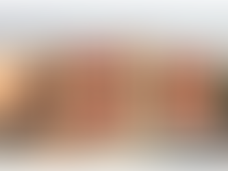 N.K. BAGRODIA PUBLIC SCHOOL