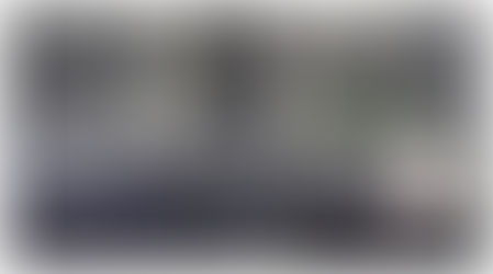 Blue Line metro delays in Dwarka Delhi