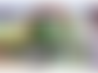 Bhagat Chandra Hospital