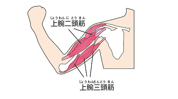 2416957 - 中津川建.jpg