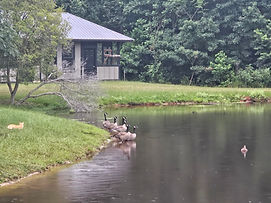 20250710_201102.jpg