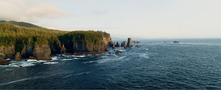 ocean with cliff