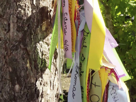 ribbons with names on them tied to a tree