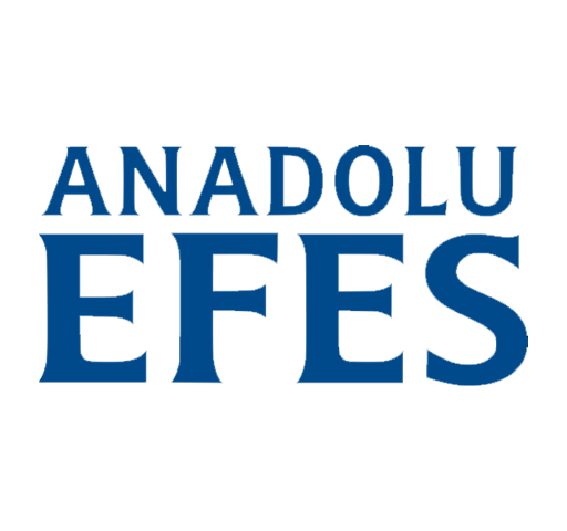 efes_pilsen_salesforce_danismani-512x480