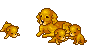 Chiots animés.gif