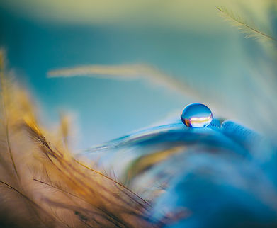 welshpixie-droplet-3716288.jpg