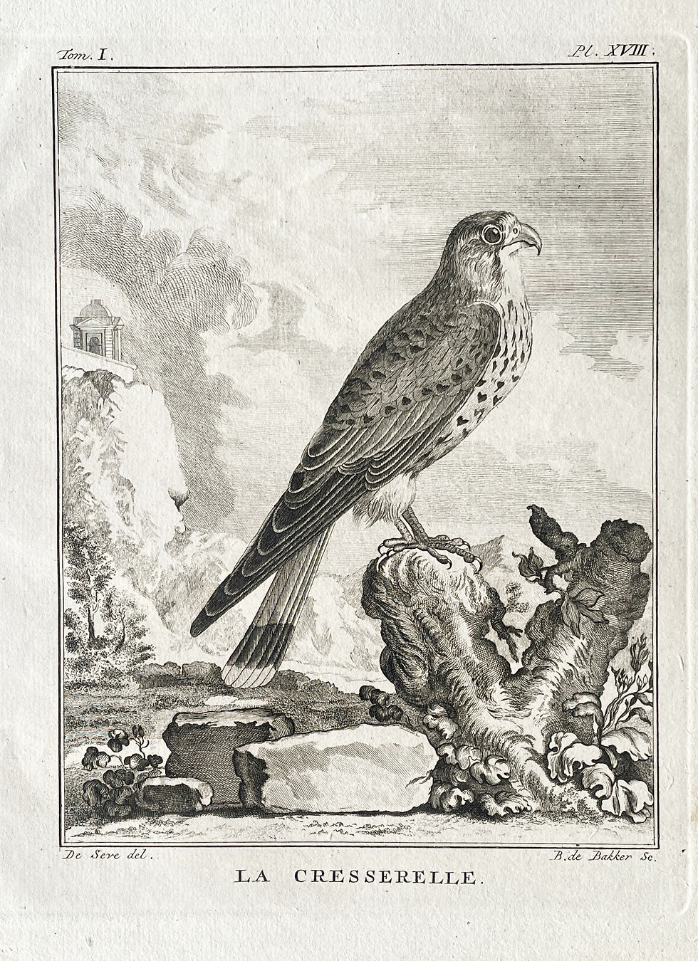 Thumbnail: Etching De Seve 1801 for Du Buffon Natural History