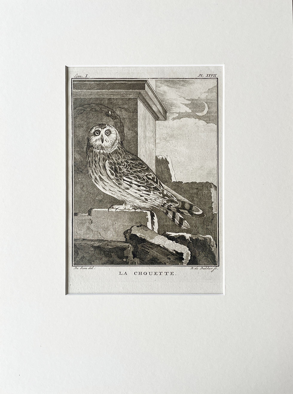 Thumbnail: Etching De Seve 1801 for Du Buffon Natural History