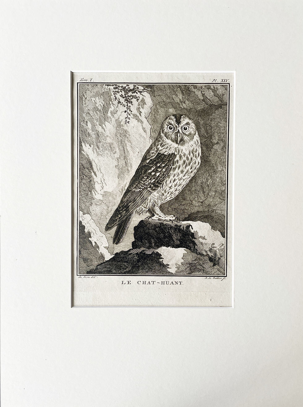 Thumbnail: Etching De Seve 1801 for Du Buffon Natural History