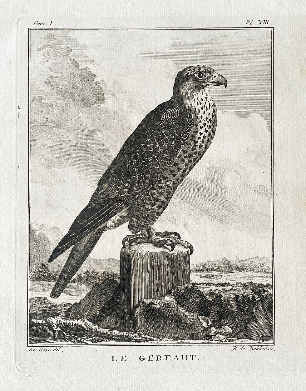 Thumbnail: Etching De Seve 1801 for Du Buffon Natural History