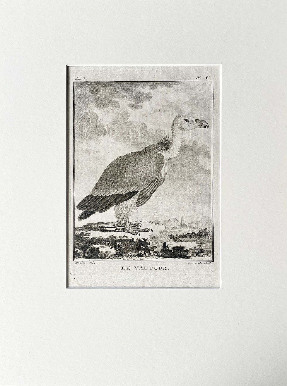 Thumbnail: Etching De Seve 1801 for Du Buffon Natural History