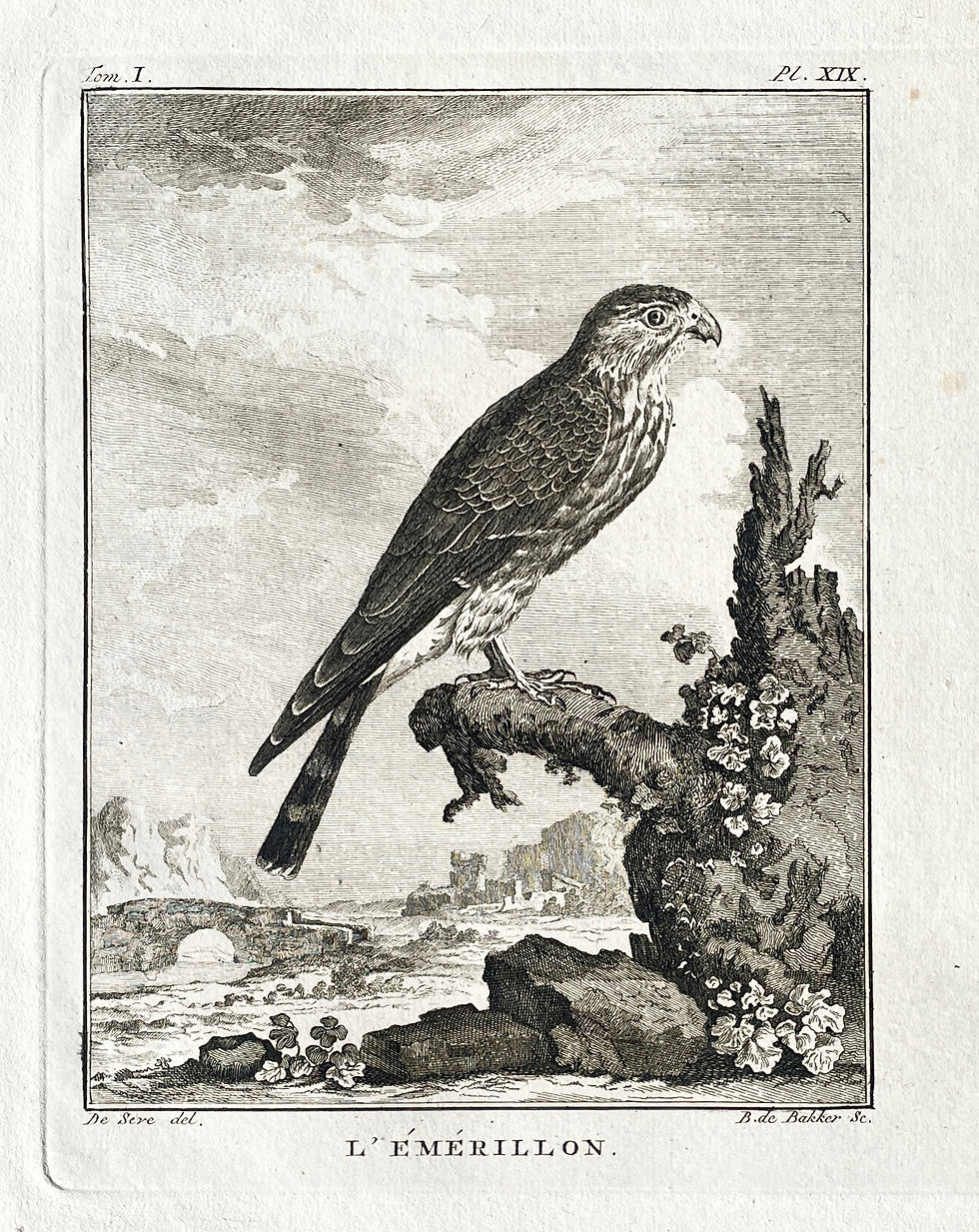 Thumbnail: Etching De Seve 1801 for Du Buffon Natural History