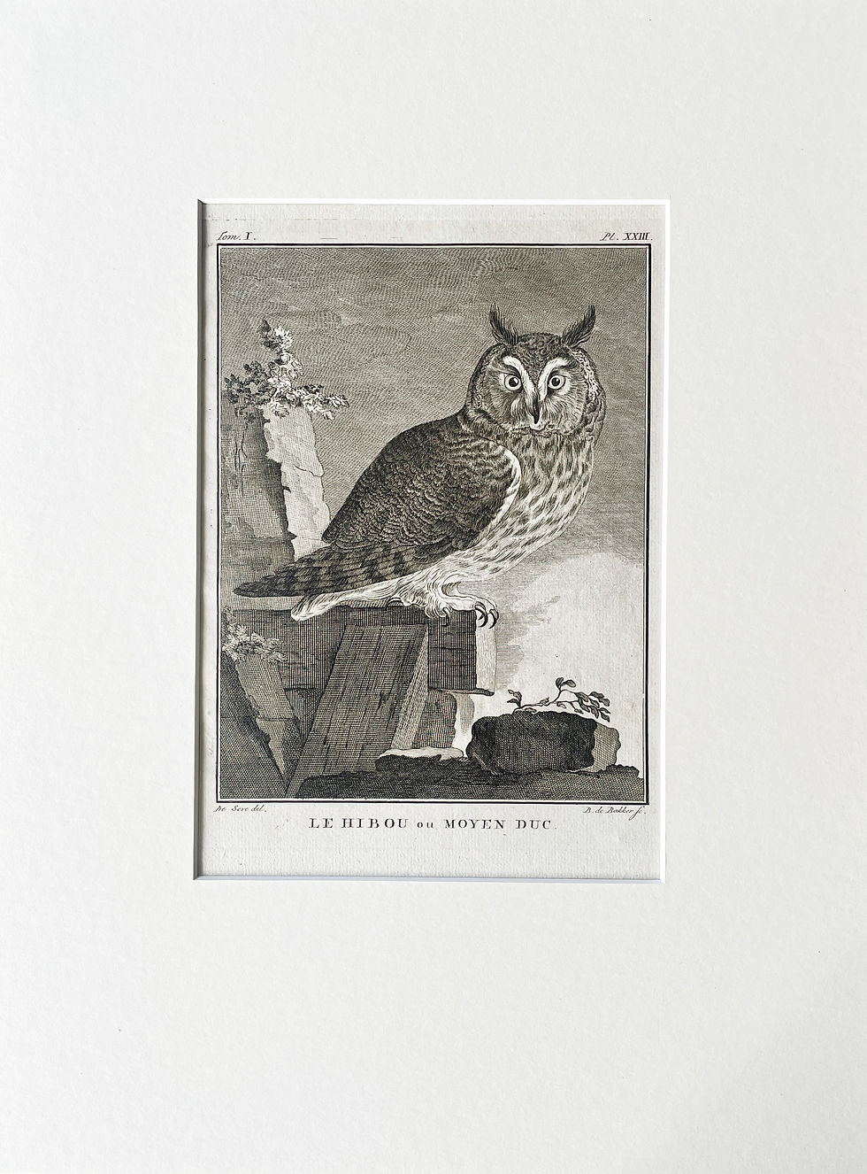 Thumbnail: Etching De Seve 1801 for Du Buffon Natural History
