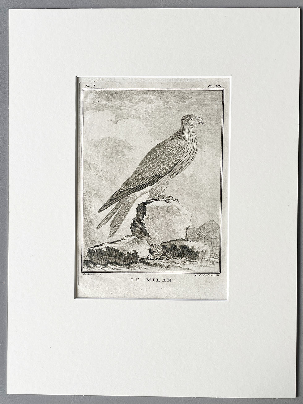 Thumbnail: Etching De Seve 1801 for Du Buffon Natural History