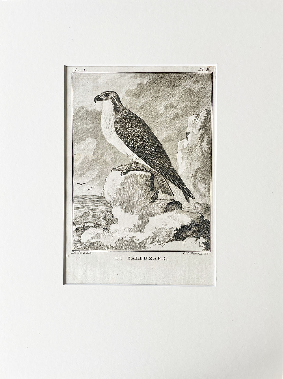 Thumbnail: Etching De Seve 1801 for Du Buffon Natural History