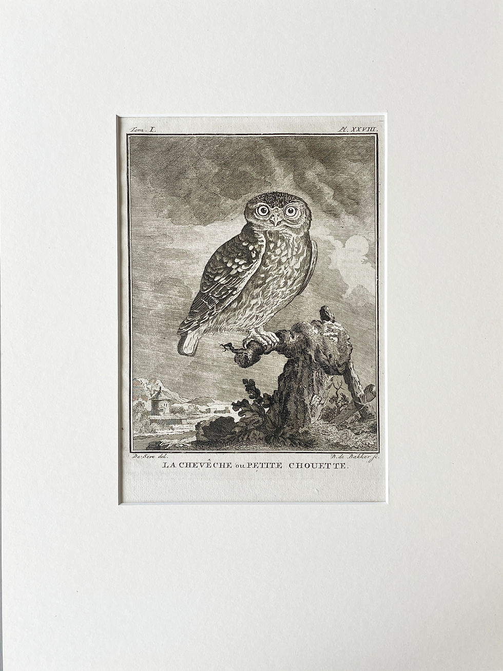Thumbnail: Etching De Seve 1801 for Du Buffon Natural History