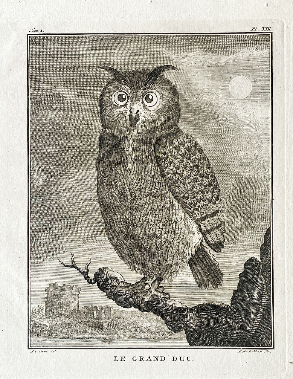 Thumbnail: Etching De Seve 1801 for Du Buffon Natural History