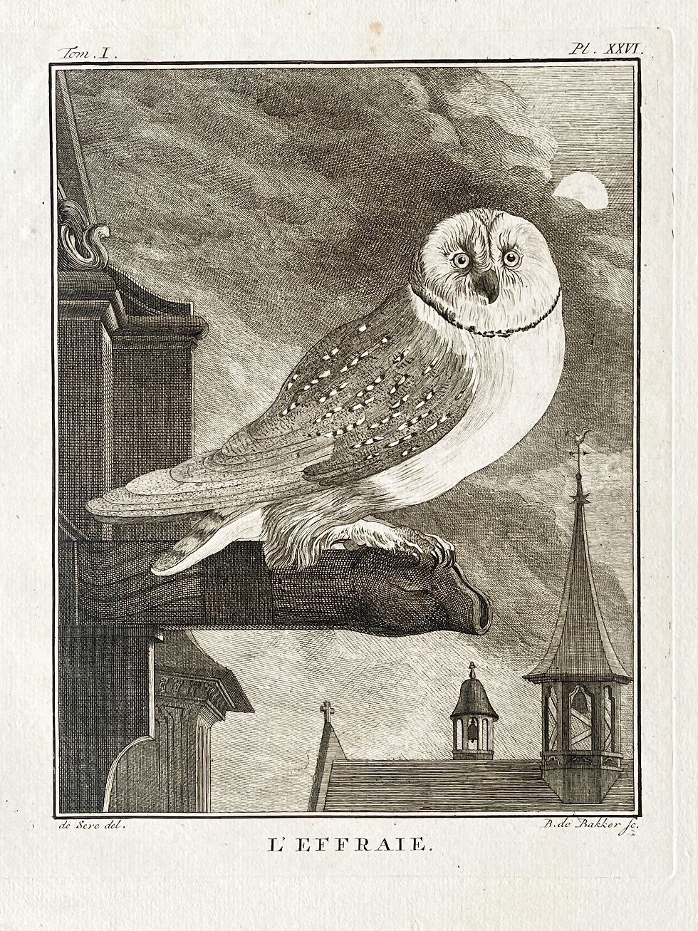 Thumbnail: Etching De Seve 1801 for Du Buffon Natural History
