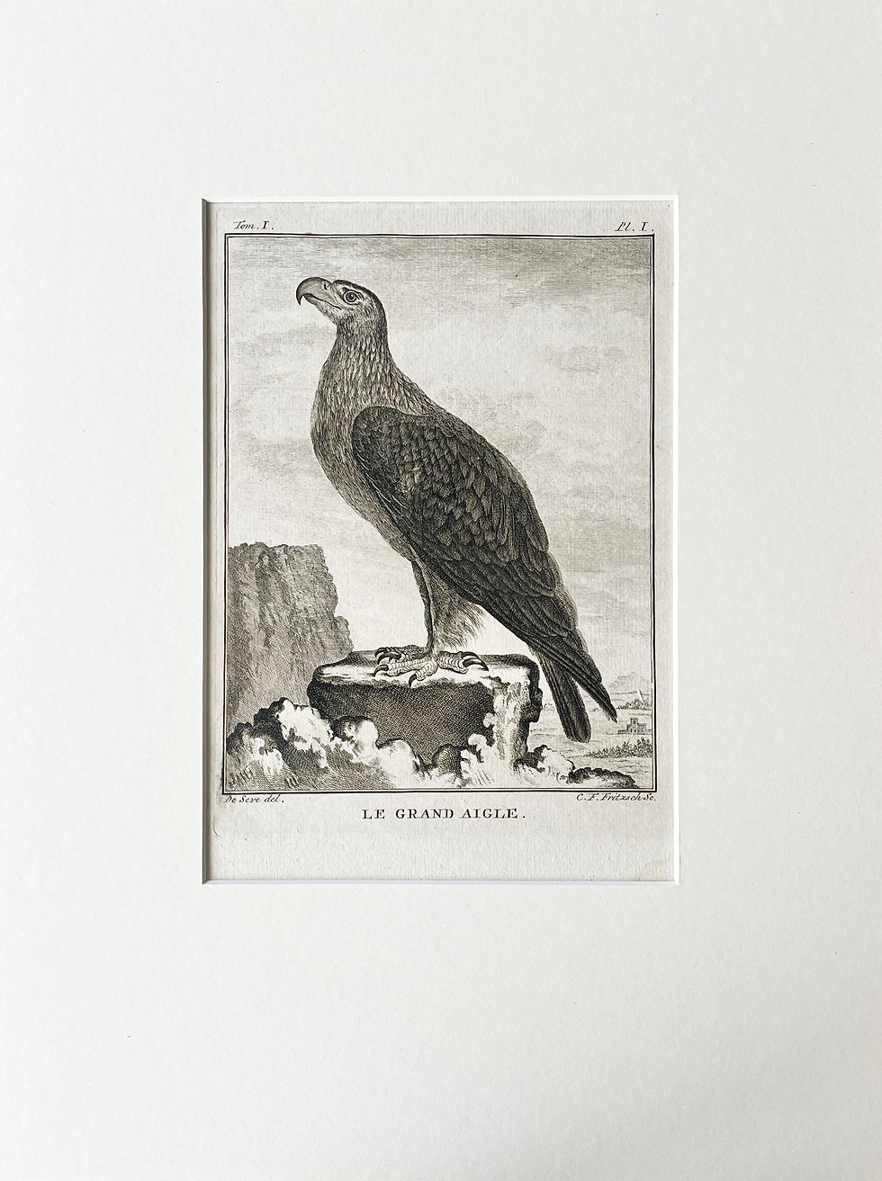 Thumbnail: Etching De Seve 1801 for Du Buffon Natural History
