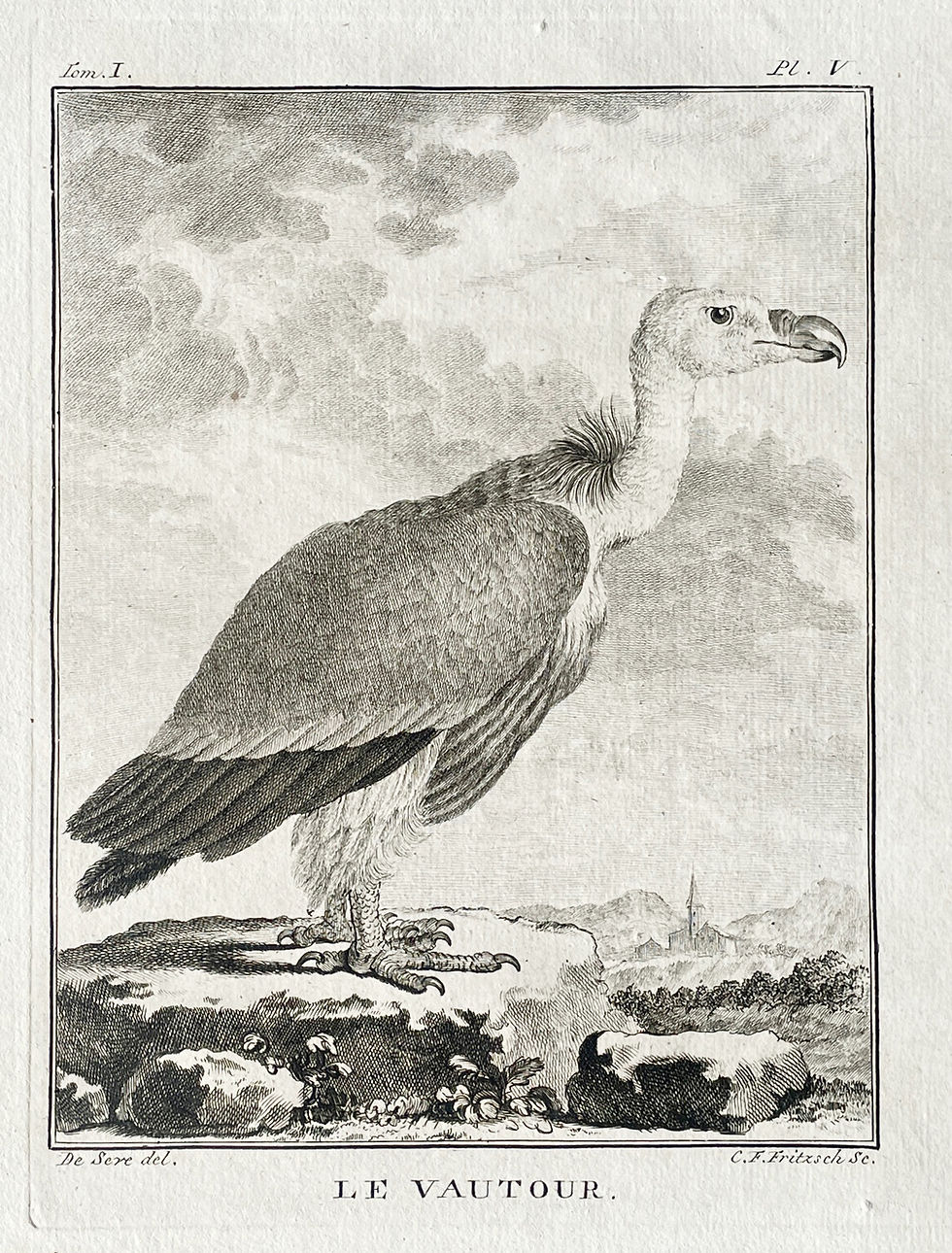 Thumbnail: Etching De Seve 1801 for Du Buffon Natural History