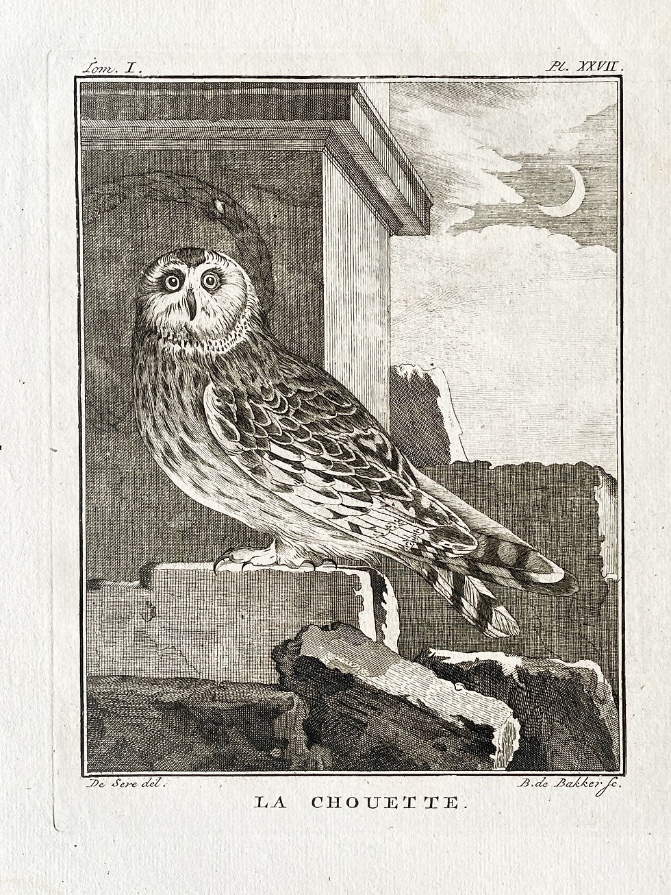 Thumbnail: Etching De Seve 1801 for Du Buffon Natural History
