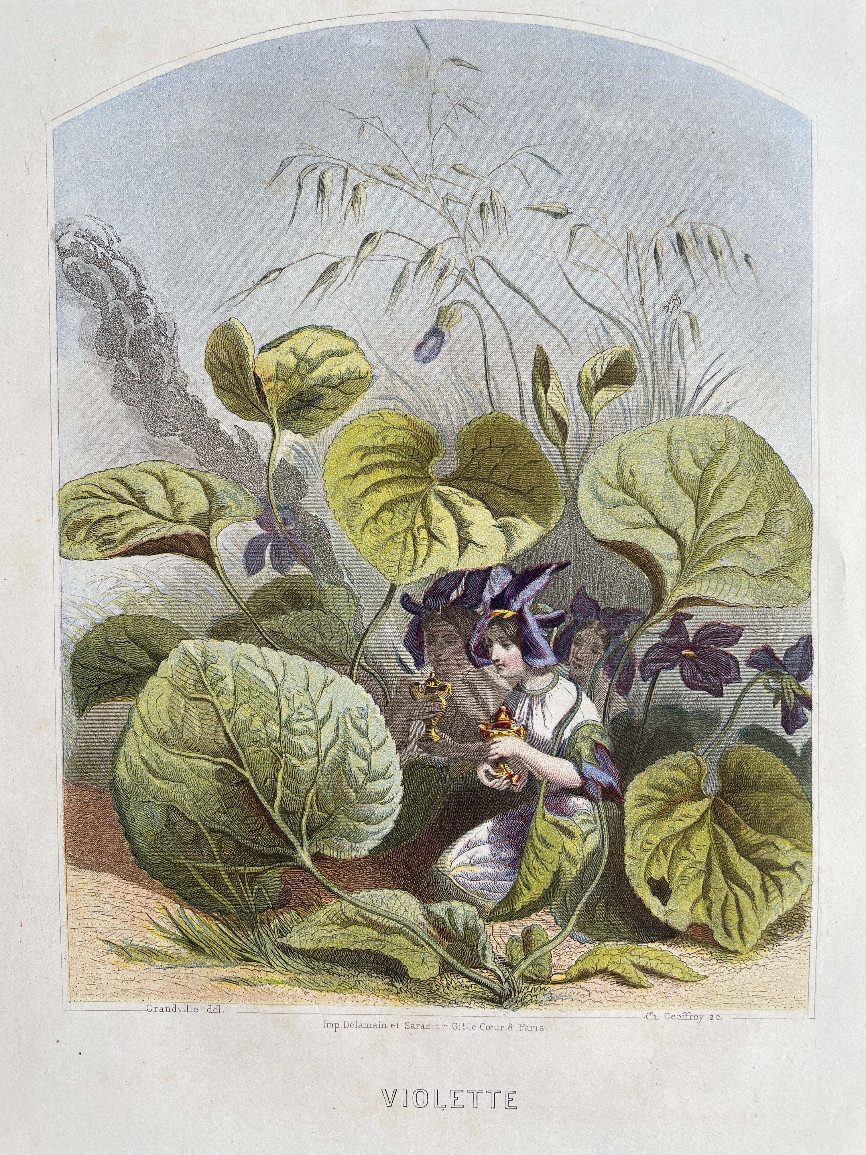Handgekleurde litho J.J. Grandville 1868
