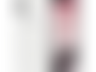 iPhone XS Max Review – The Big iPhone With High-End Specs