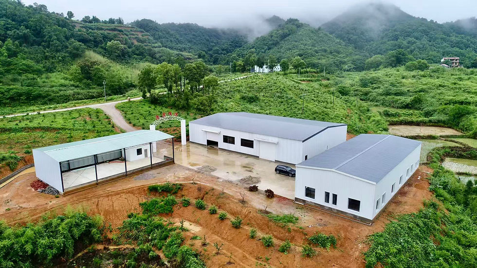 Thumbnail: Facility of He Lu Fang camellia oi;l