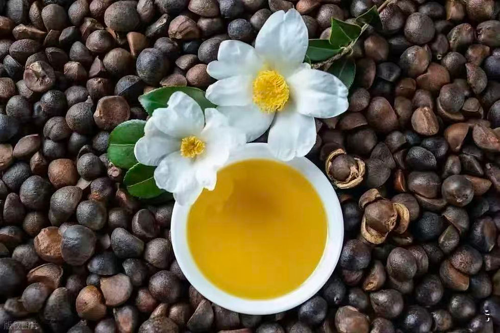 Thumbnail: camellia oil in a white bowl