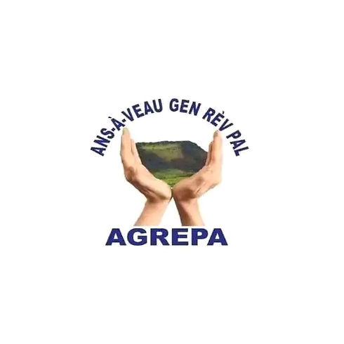 1701914116548.jpg