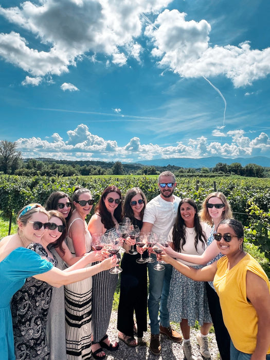 FTLO group of friends cheers with glasses of wine in a Slovenian vineyard