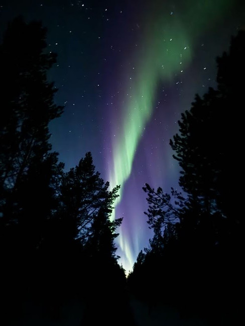 Glowing northern lights and stars above Lapland