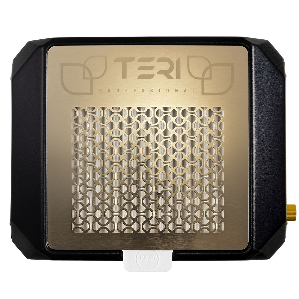 Thumbnail: Teri Diamond black (golden mesh) – portable nail dust collector