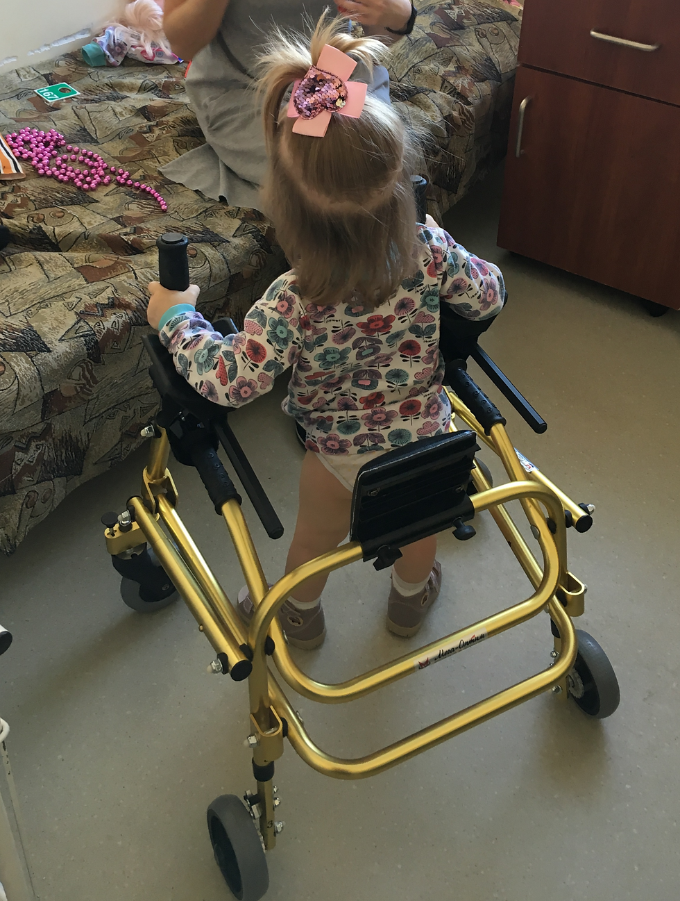 Заднеопорные ходунки