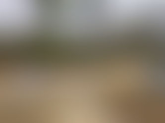 Where is Nurse Eunice Rivers buried?