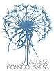logo Access-Consciousness