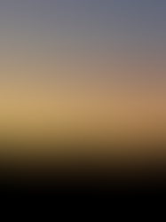 Visitors Of The Dark