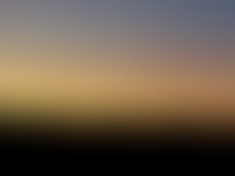 Visitors Of The Dark