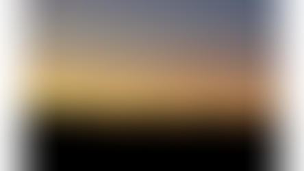 Visitors Of The Dark