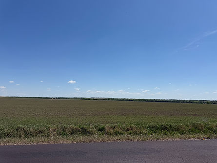 IMG_1665.jpeg