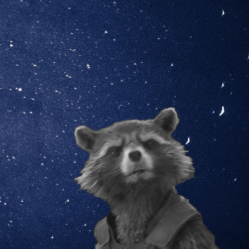 Rocket.gif