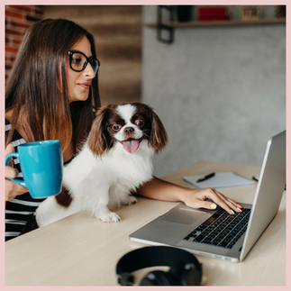 Woman working on laptop with dog on her lap