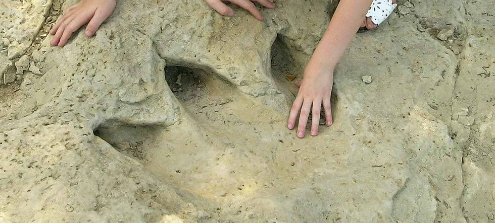 【Dinosaur Valley State Park】