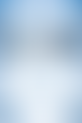 Auguri di Buone Feste 