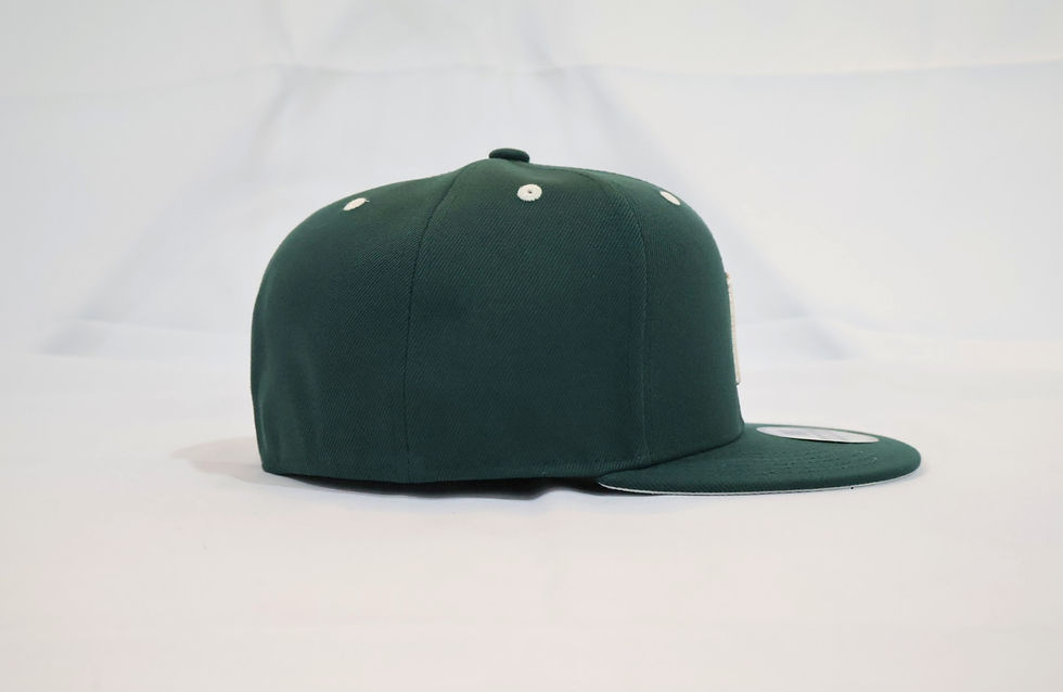 Thumbnail: boston. Forest Fitted Hat