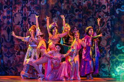 The Company of Secondhand Lions