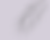 BB New Collection.png
